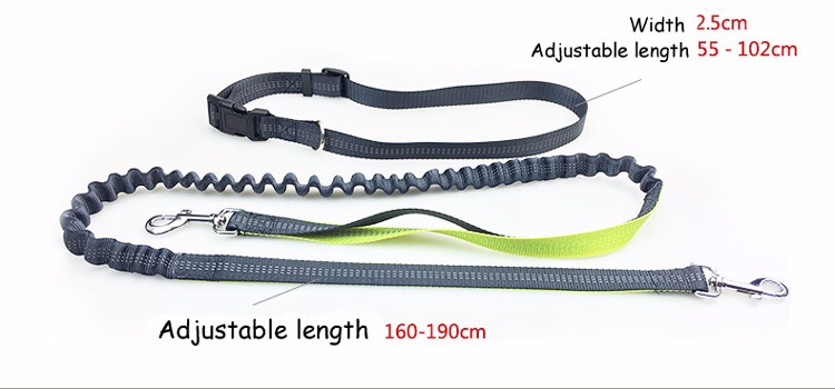 Adjustable Waist Pet Dog Leash Running - Shop OnlyDogz